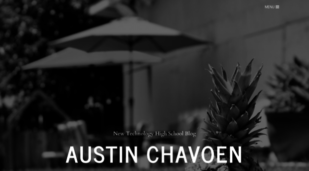 austinchavoennt.weebly.com