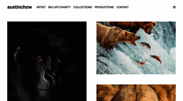 austinchow.com