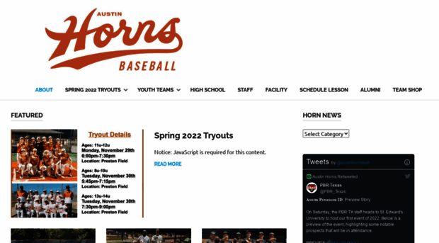 austinhornsbaseball.com