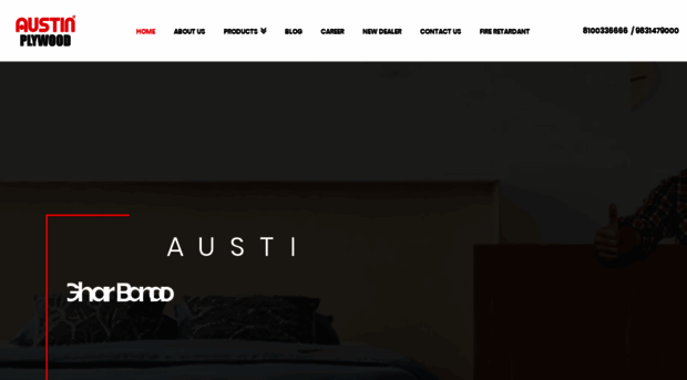 austinplywood.com