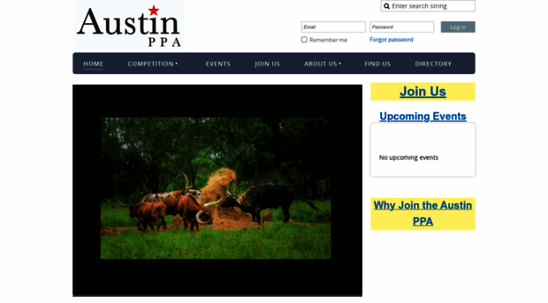 austinppa.com