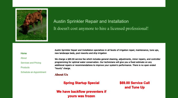 austinsprinklerrepair.net