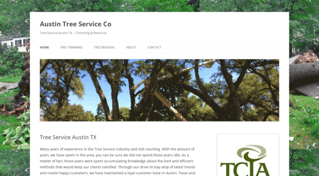 austintreeservice.net