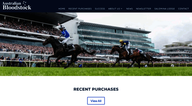 australianbloodstock.com.au