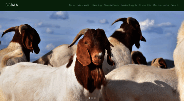 australianboergoat.com.au