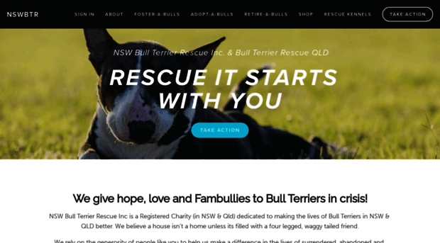 australianbullterriers.com