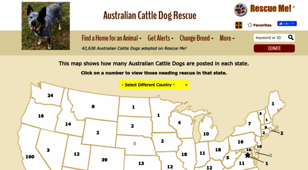 australiancattledog.rescueme.org