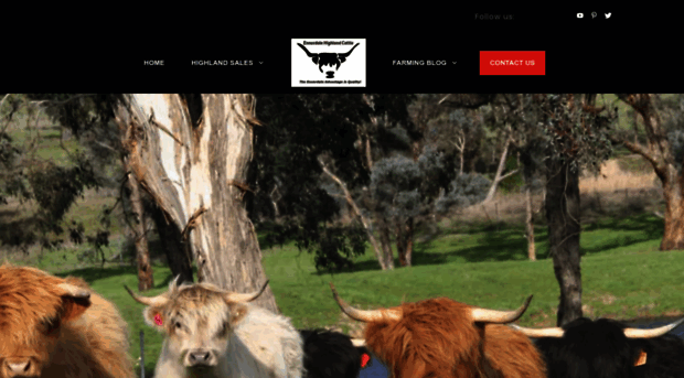 australianhighlandcattle.com