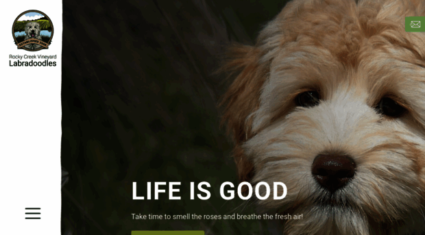 australianlabradoodles.com.au