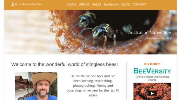 australiannativebee.com