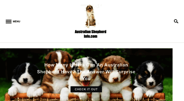 australianshepherdinfo.com