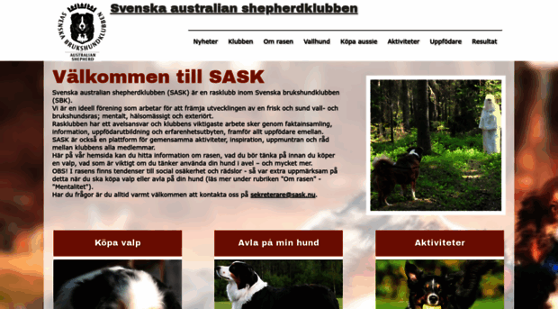 australianshepherdklubben.nu