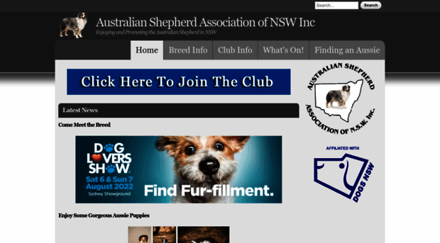 australianshepherds.org.au