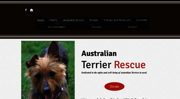 australianterrierrescue.org