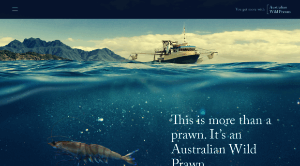 australianwildprawns.com.au