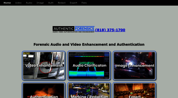 authenticforensics.com