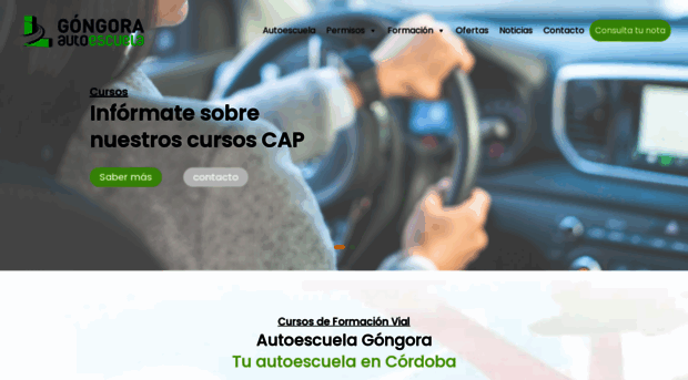 autoescuelagongora.com