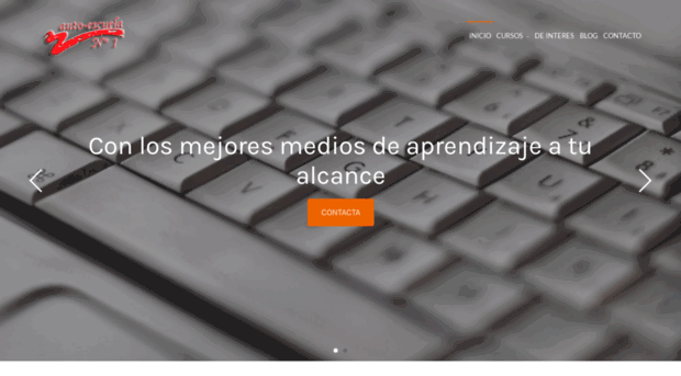 autoescuelavn1.com