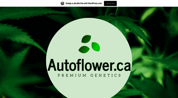 autoflorists.wordpress.com