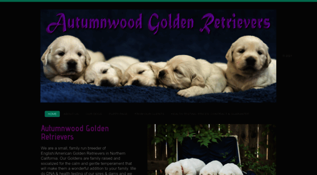 autumnwoodgoldens.com