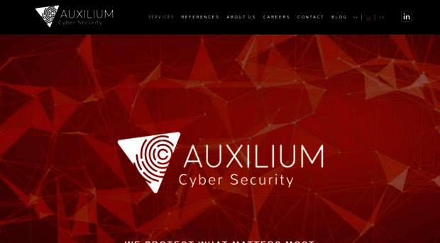 auxiliumcybersec.com