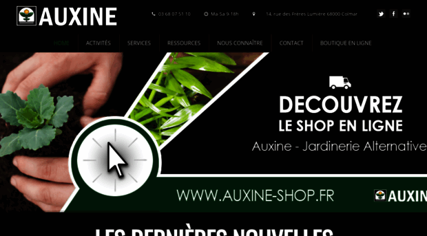 auxine.net