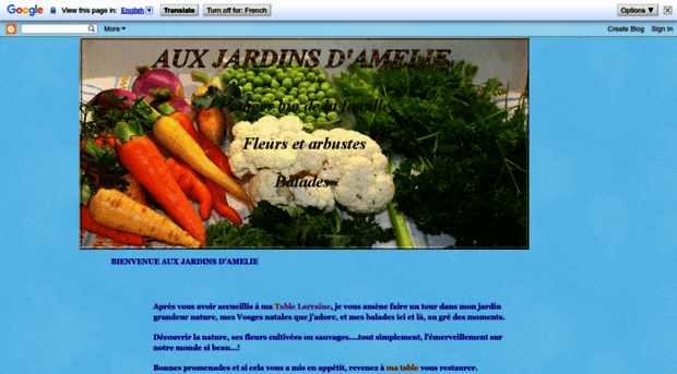 auxjardinsdamelie.blogspot.com