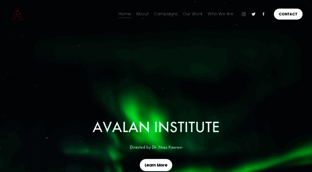 avalaninstitute.com