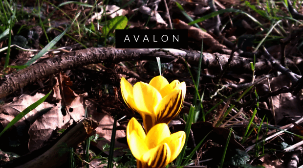 avalon.co.uk