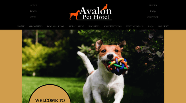 avalonkennels.co.uk