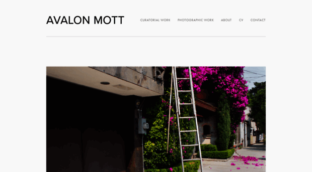 avalonmott.com