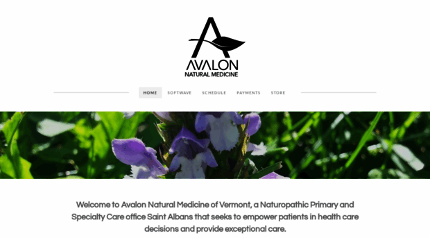 avalonnaturalmedicine.com