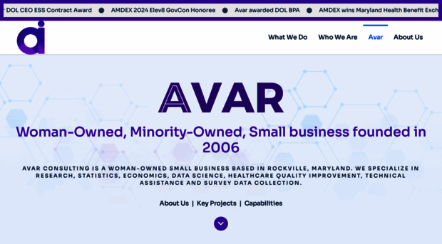 avarconsulting.com