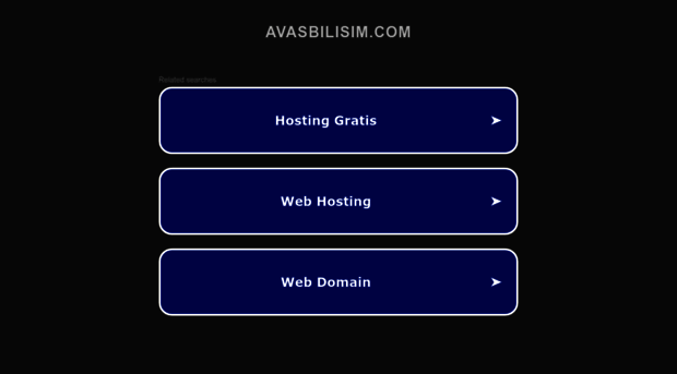 avasbilisim.com