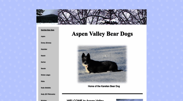 avbeardog.com