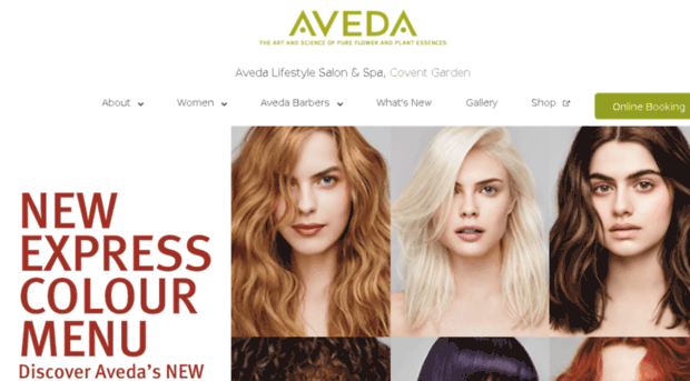 avedainstitute.co.uk