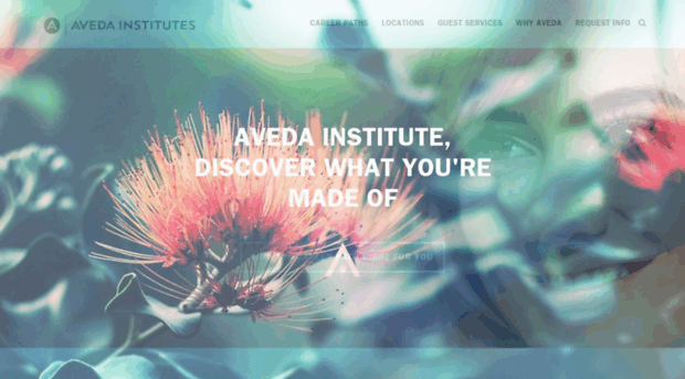 avedainstitutes.com