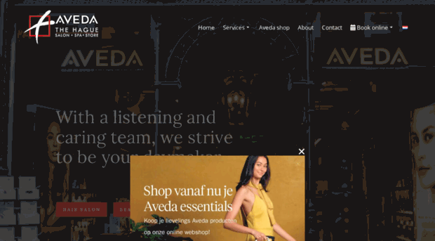 avedathehague.nl