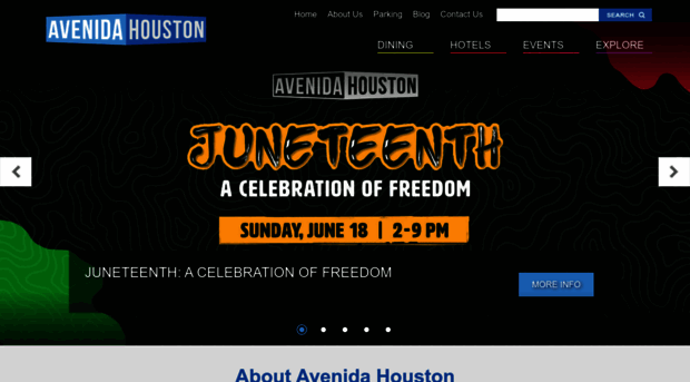 avenidahouston.com