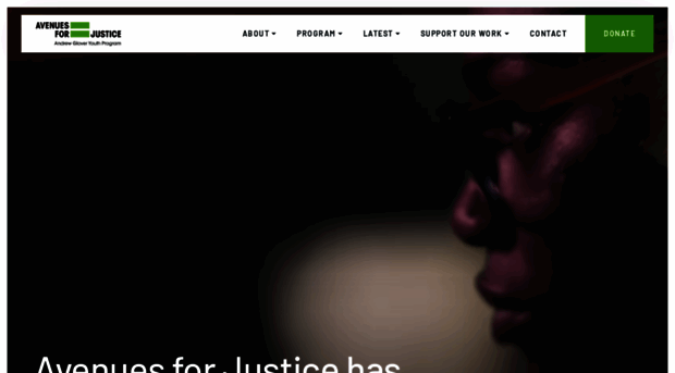 avenuesforjustice.org