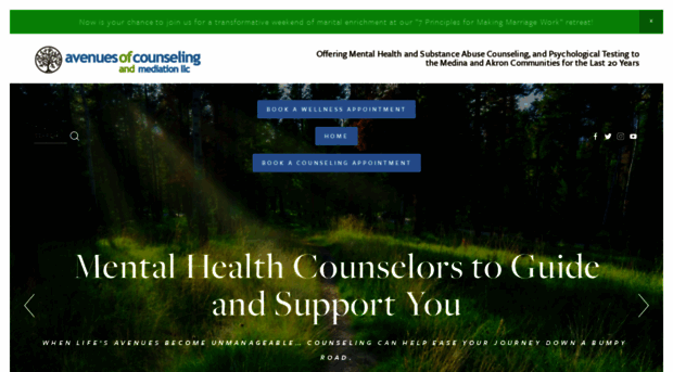 avenuesofcounseling.com