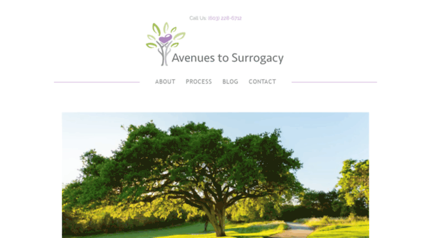 avenuestosurrogacy.com