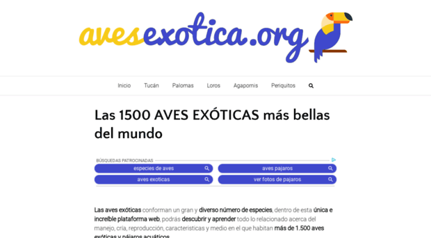 avesexotica.org