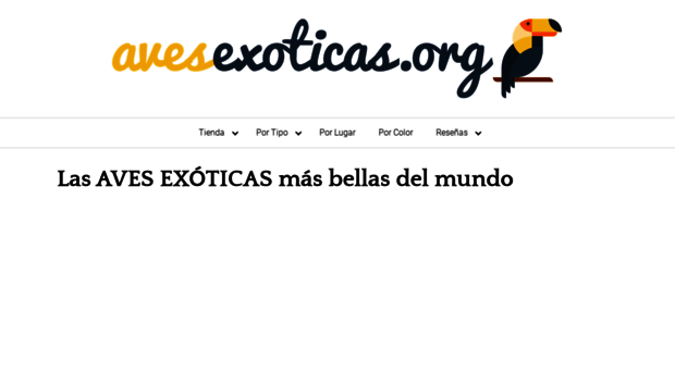 avesexoticas.org