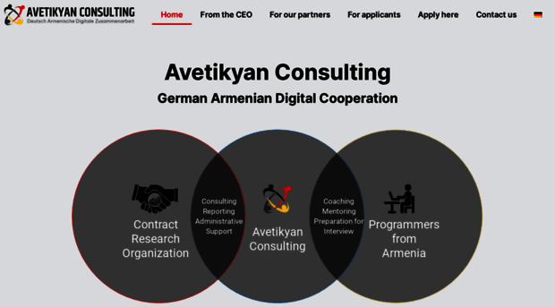 avetikyan-consulting.de