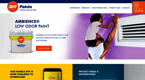 avfpaint.com