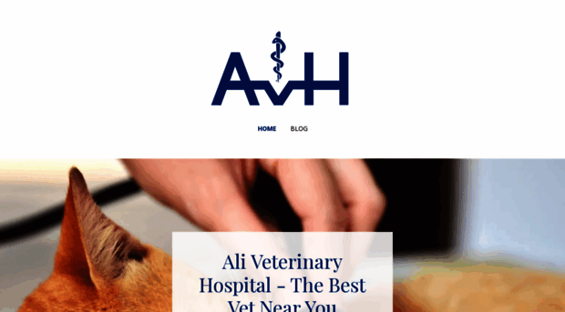 avh.com.pk