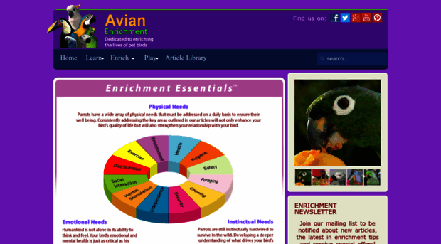 avianenrichment.com