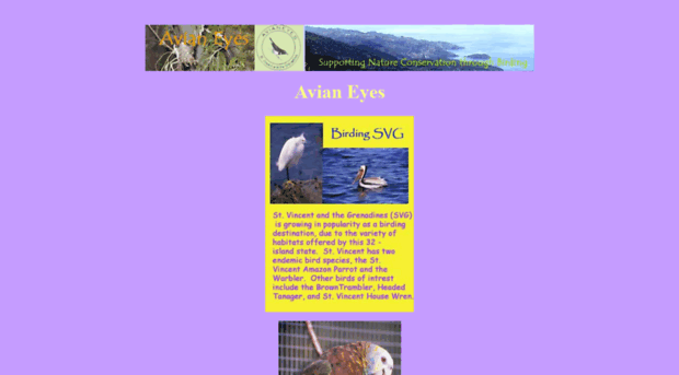 avianeyes.org