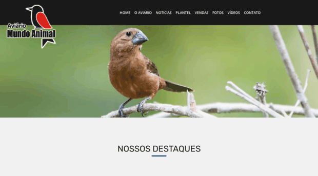 aviariomundoanimal.com.br